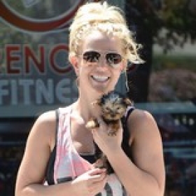 Britney Happy With Her Boring Existence