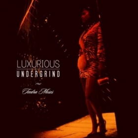 New music: Teedra Moses 'Another Luvr' Remix Feat. Wale