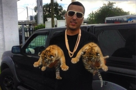 A New Hit From French Montana