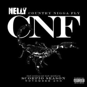 Nelly releases new song CNF Country Ni**a Fly