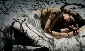 Paul Weller brings nude model in his video premiere 'Dragonfly'