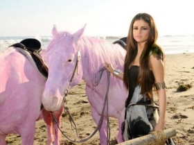 Selena Gomez excluded pink horses shoot from video