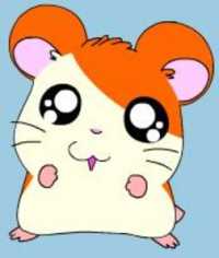 Hamtaro