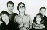 Pulp